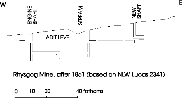 [SECTION]